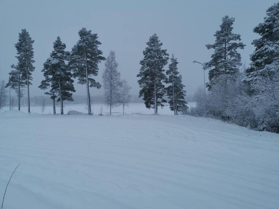Cabin 70M From Lake. Big Garden Ostersund Exterior photo